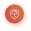 icon4